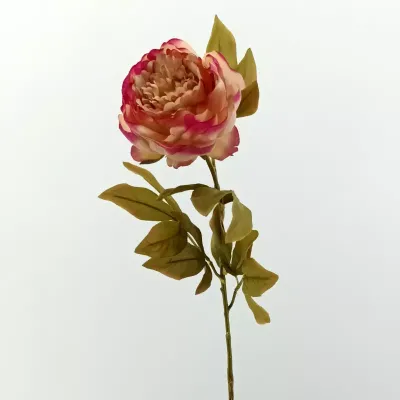 Peonia singola cm.77 mauve