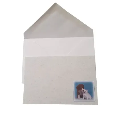 Biglietto + busta b 7x11 animali (pz.100)
