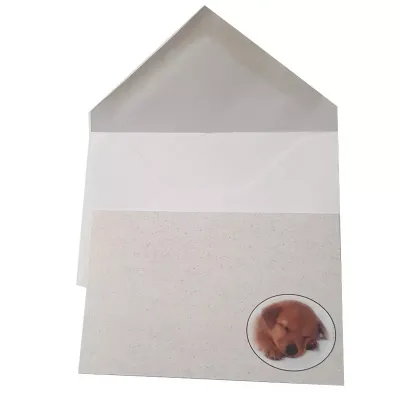 Biglietto + busta b 7x11 animali (pz.100)