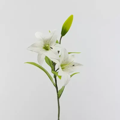Tiger lily cm.78 bianco
