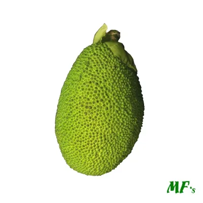 Jackfruit  cm. 19 verde