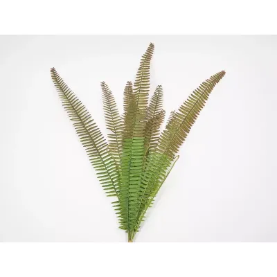 Felce mazzo 75 cm.
