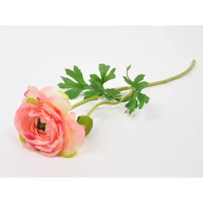 Ranunculus ramo 61 cm.