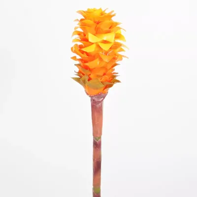 Calathea ramo cm.72 arancio