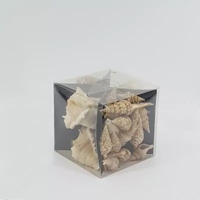 Conchiglie assortite (gr.350)