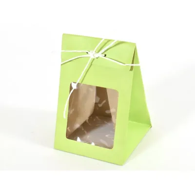 Borsa con finestra 08x08 verde (pz.12)