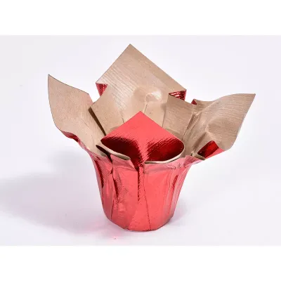 Cc-copriv.carta d.06 rosso (pz.12)