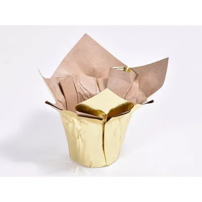 Cc-copriv.carta d.06 oro (pz.12)