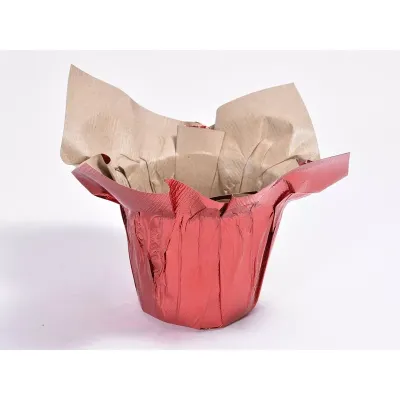 Cc-copriv.carta d.07 rosso (pz.12)