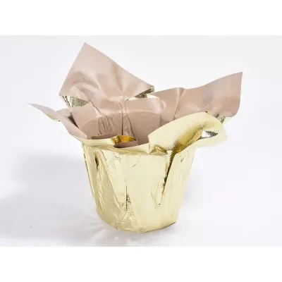 Cc-copriv.carta d.07 oro (pz.12)