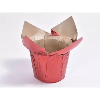 Cc-copriv.carta d.10 rosso (pz.12)