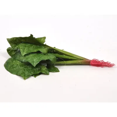 Spinaci  in mazzo 24 cm.