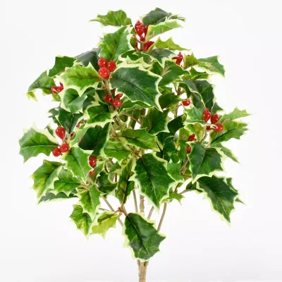 Agrifoglio mazzo cm.36 c-bacche