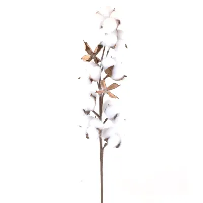 Cotone ramo cm.53 bianco