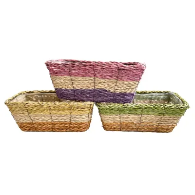 Bg-vaschetta rett. 25x12 assortito