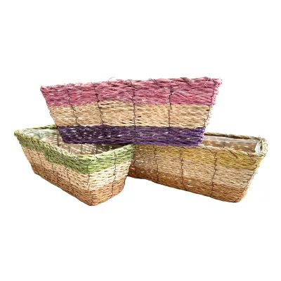 Bg-vaschetta rett. 30x12 assortito