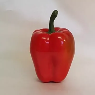 Peperone rosso 