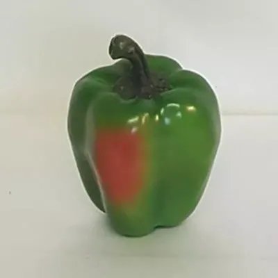 Peperone verde
