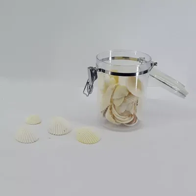 Conchiglie in barattolo pvc