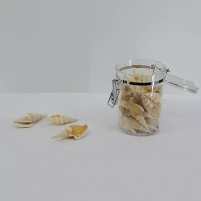 Conchiglie in barattolo pvc