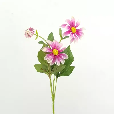 Cosmea cm.70 fucsia