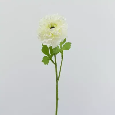 Ranuncolo cm. 55 bianco