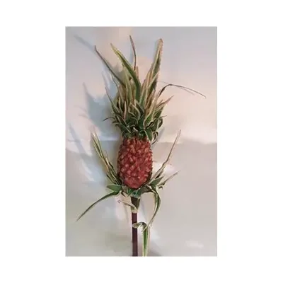 Ananas ramo arancio 
