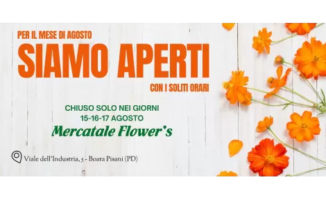 Agosto aperti